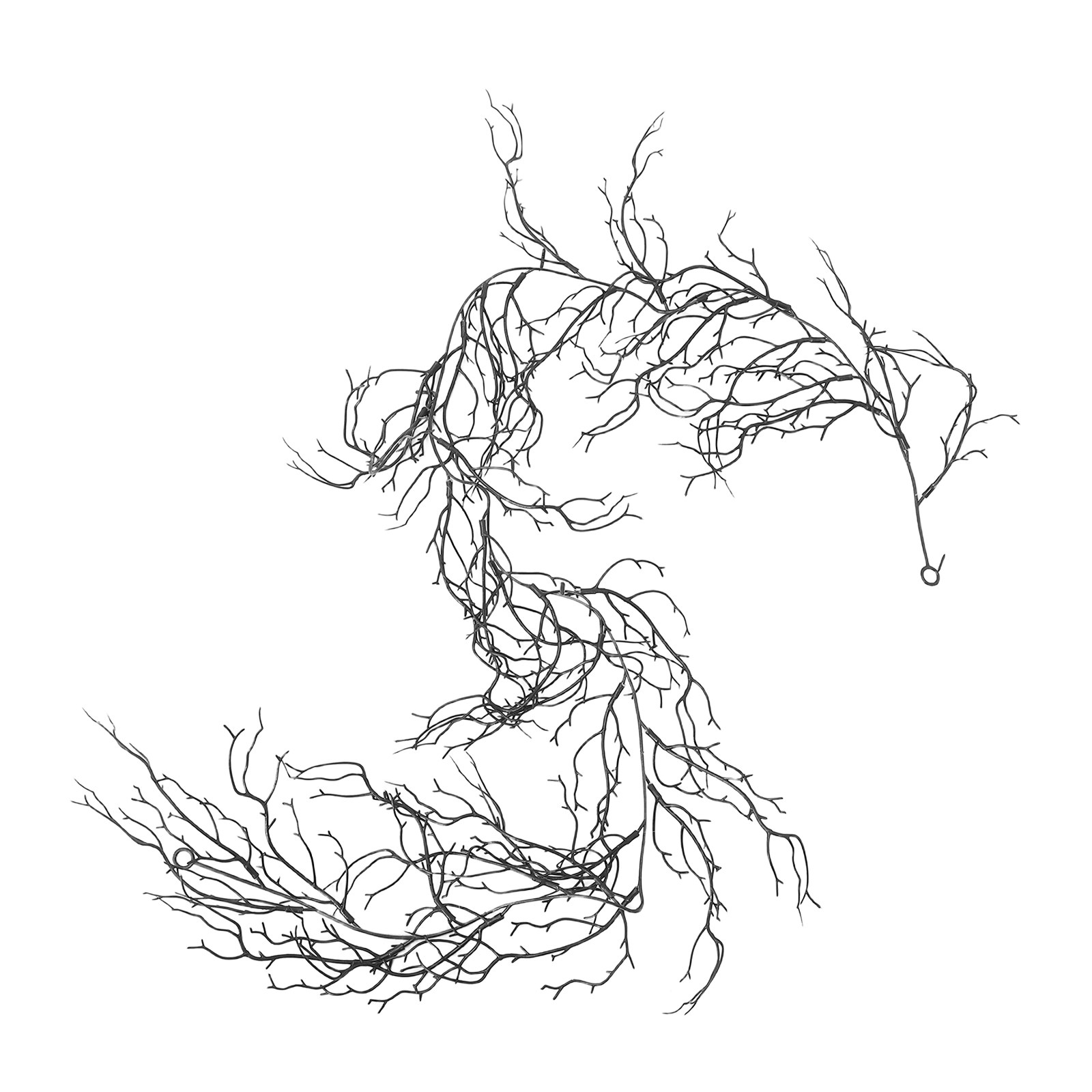 Branch Curly Willow - Гибкие черные кудрявые ветки ивы из