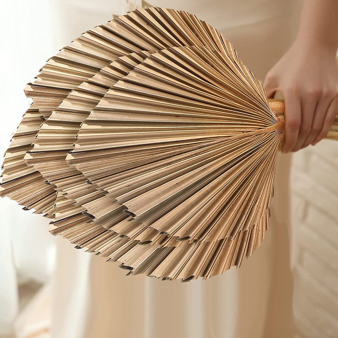 Palm Leaf Dried - 5 шт., натуральные сушеные пальмовые листья,