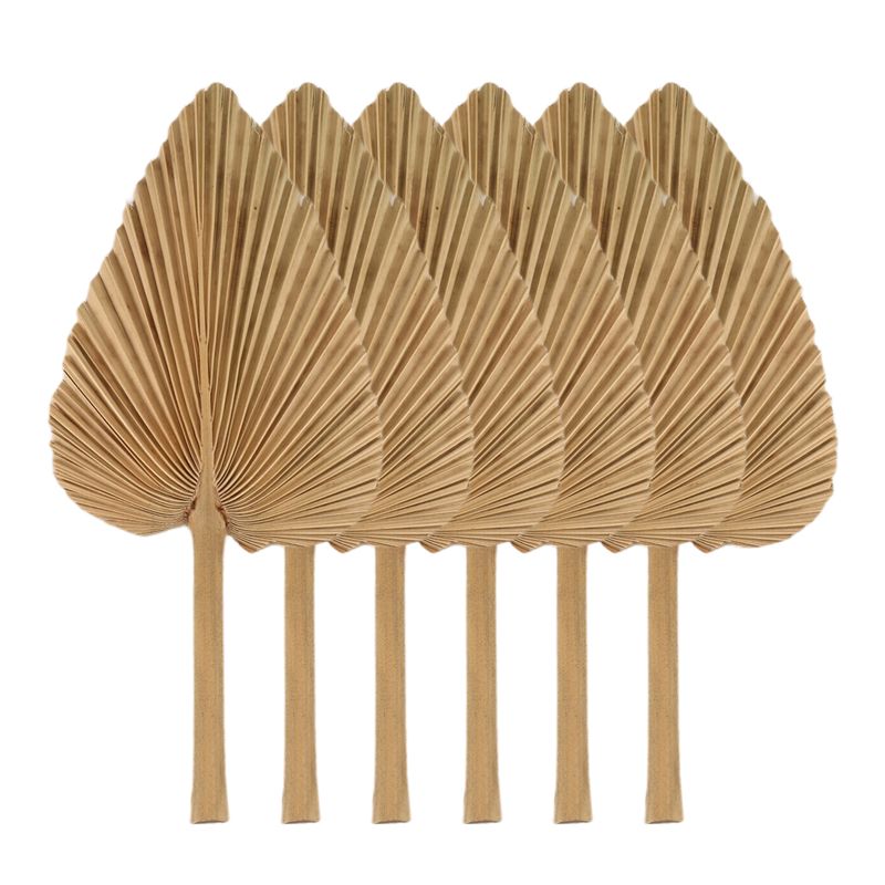 Palm Leaf Dried - Сушеные пальмовые листья AT84-6PCS, натуральные сушеные