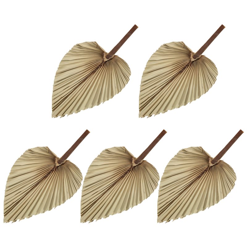 Palm Leaf Dried - Набор из 5 натуральных сушеных пальмовых
