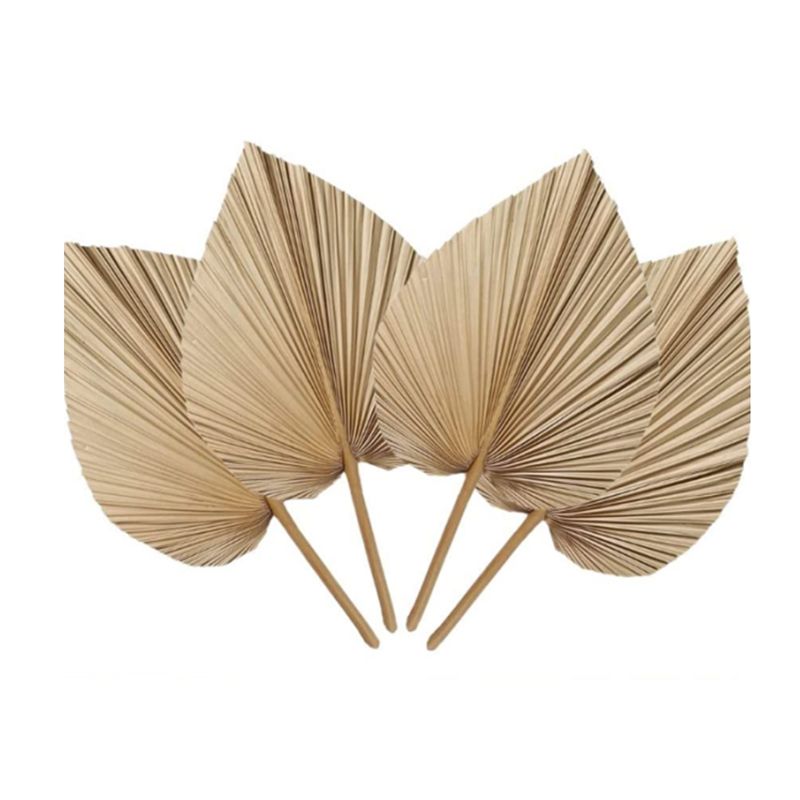 Palm Leaf Dried - Набор из 6 натуральных тропических сушеных
