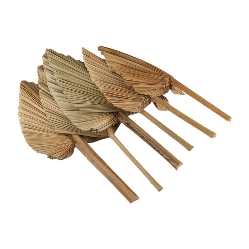 Palm Leaf Dried - ABKO-6 шт. сушеных пальмовых листьев, натуральные
