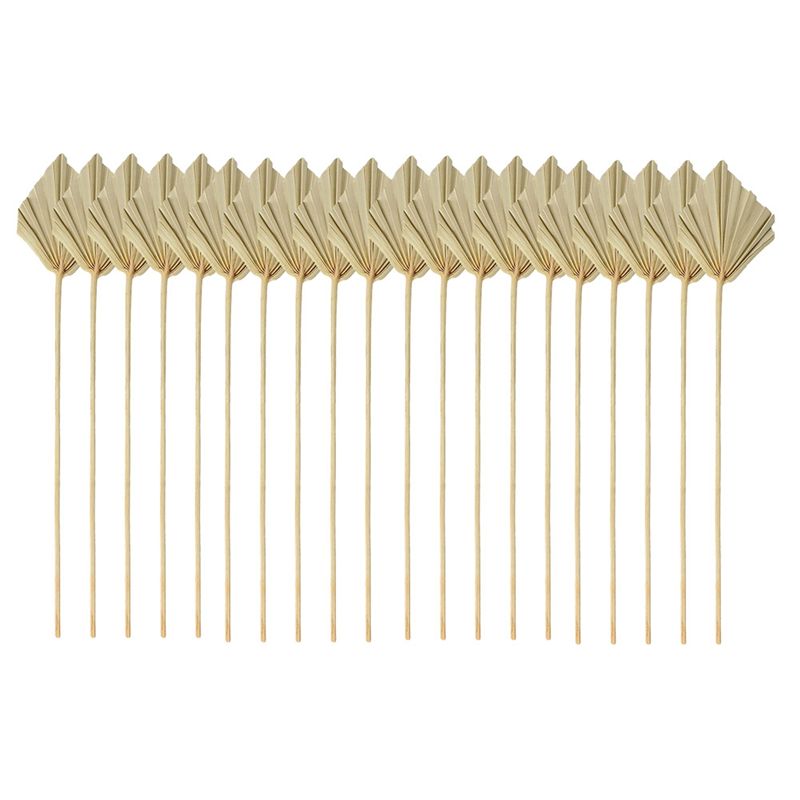 Palm Leaf Dried - LICE-Boho: Натуральные сухие пальмовые веера и