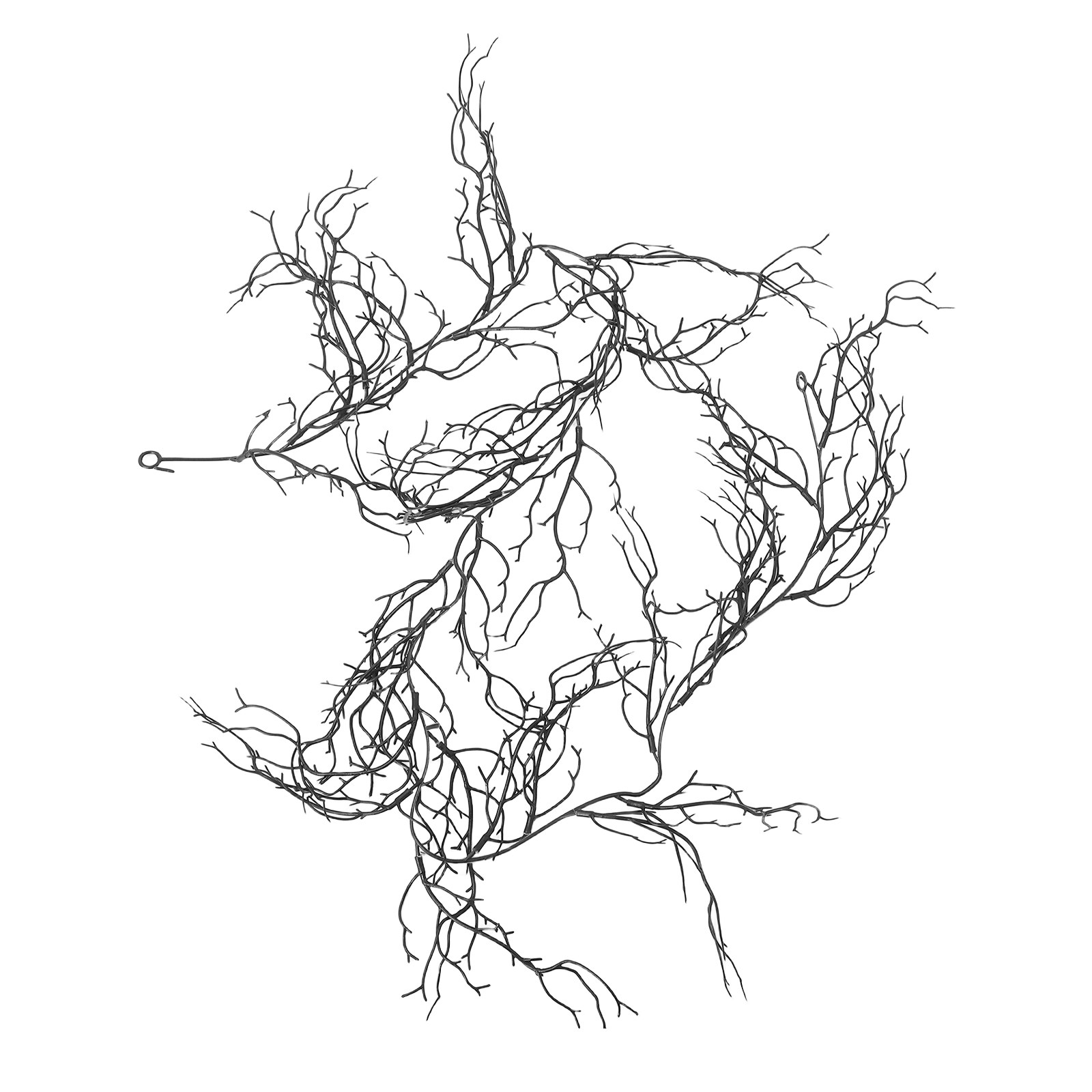 Гибкие черные кудрявые ветки и – обзор и цена Branch Curly Willow