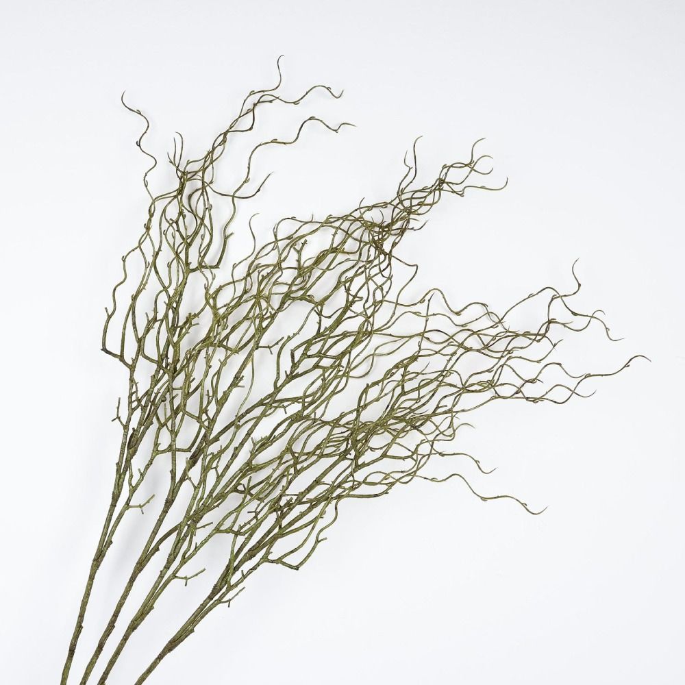 Искусственная ивовая ветка дли – обзор и цена Branch Curly Willow