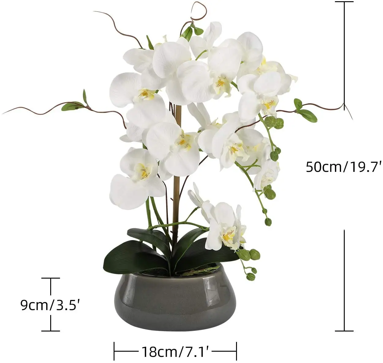 Искусственные цветы орхидеи, ц – обзор и цена Florist Supply Vases