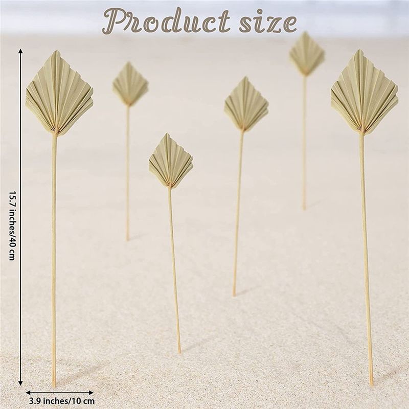 A36T-30 шт. Сухие пальмовые ве – обзор и цена Palm Leaf Dried