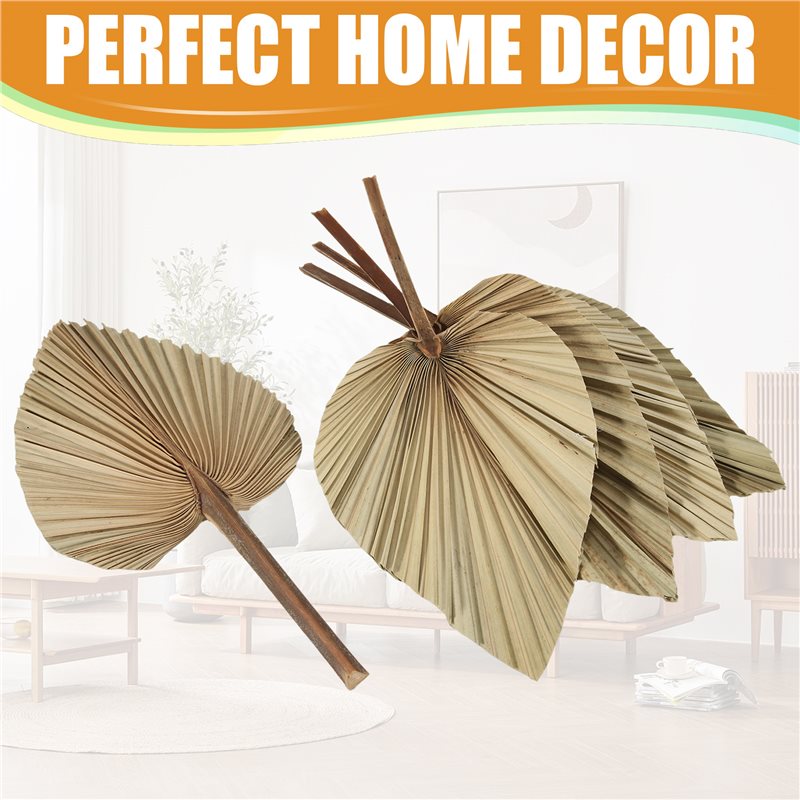 Набор из 5 натуральных сушеных – обзор и цена Palm Leaf Dried
