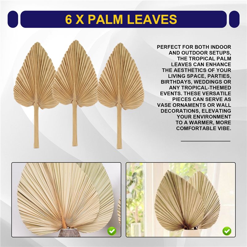 ABKO-6 шт. сушеных пальмовых л – обзор и цена Palm Leaf Dried