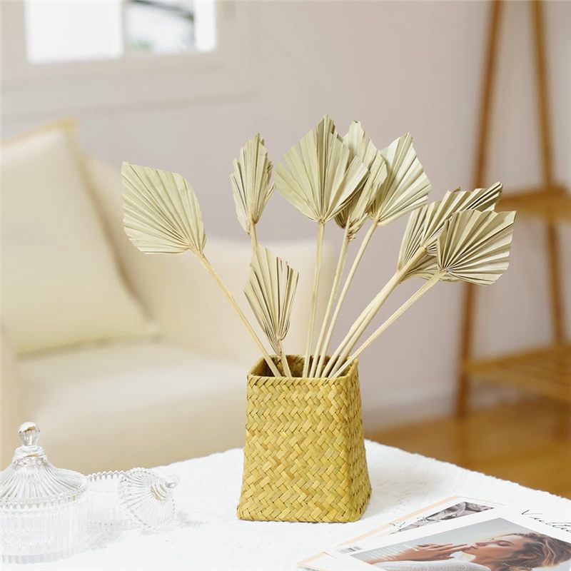 LICE-Boho: Натуральные сухие п – обзор и цена Palm Leaf Dried