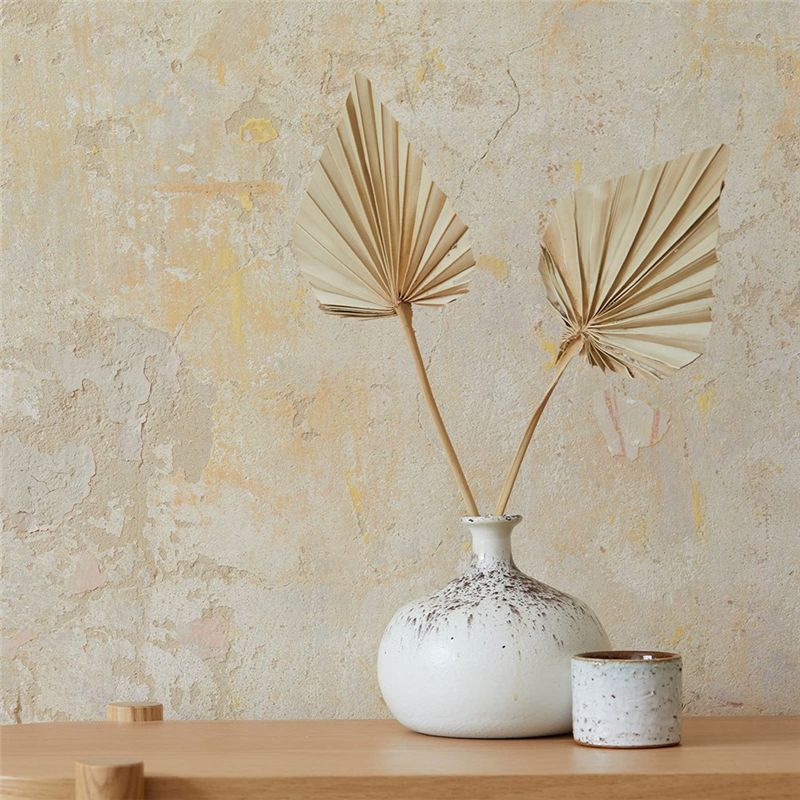 LICE-Boho: Натуральные сухие п – обзор и цена Palm Leaf Dried