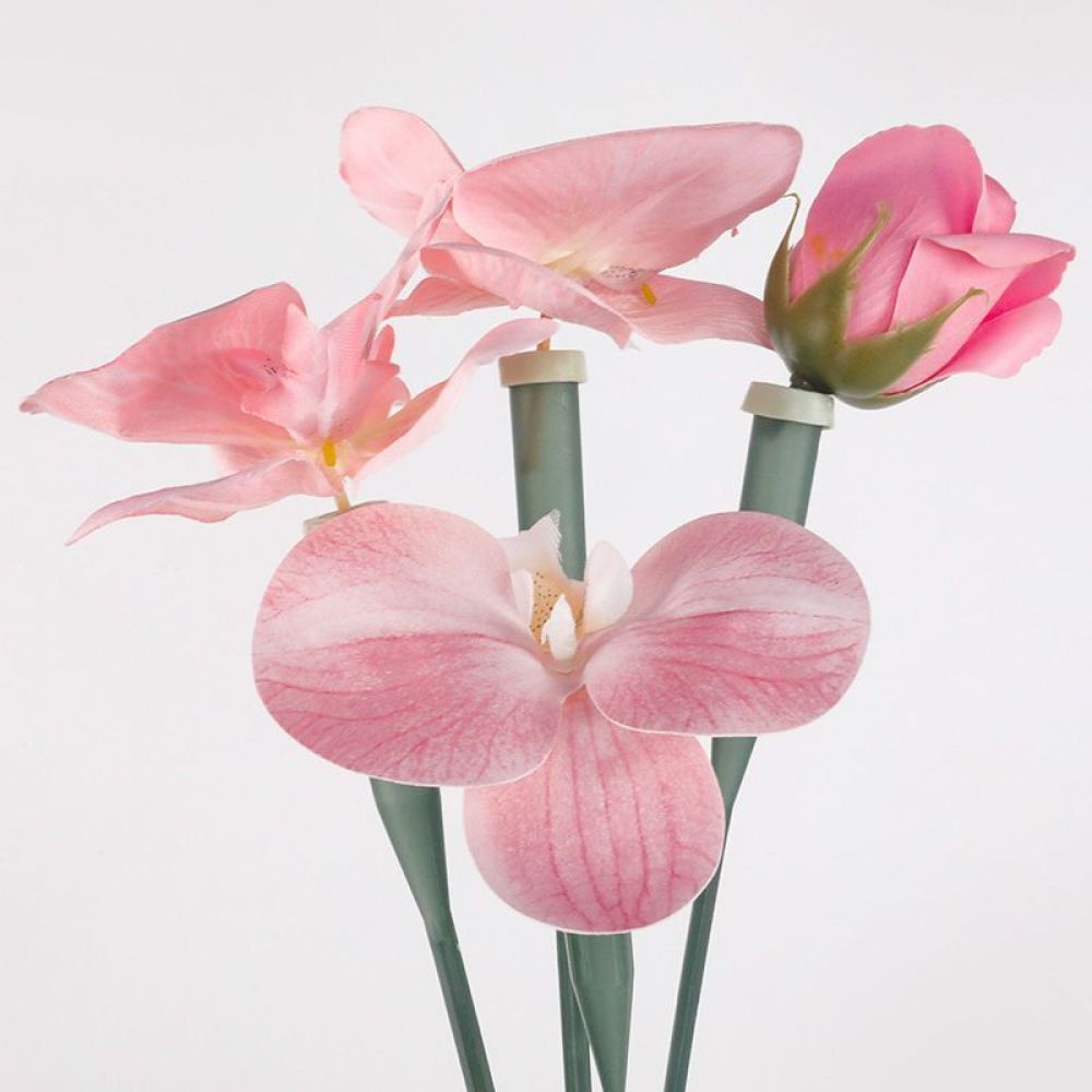 Прозрачные пластиковые флаконы – обзор и цена Florist Supply Shop